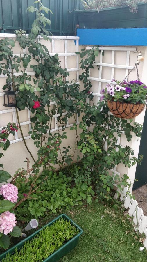 Casa Birre Guesthouse Gasthof Cascais