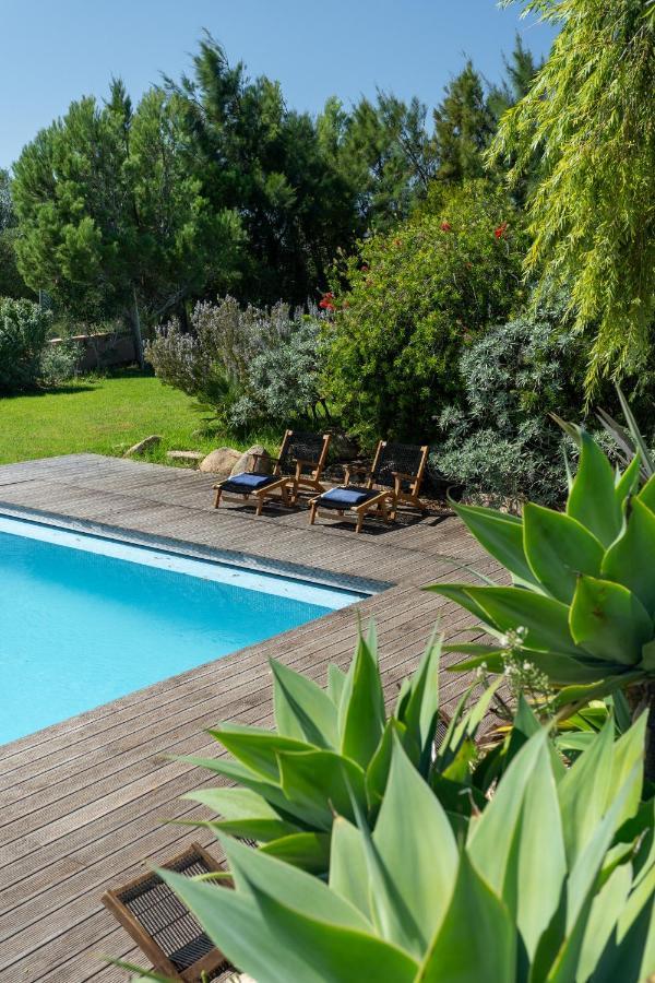 Garden Seaside By Cadenzalux