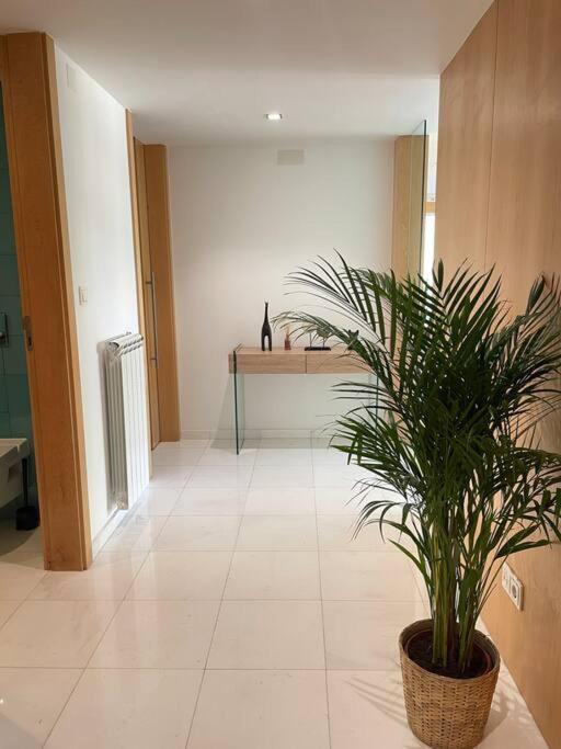 Lux 521 Letter Apartamento Cascais