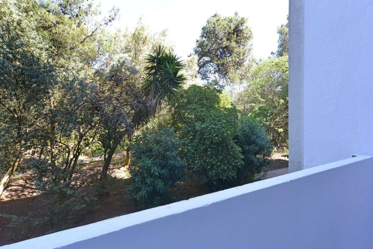 Tropical View - Checkinhome Cascais