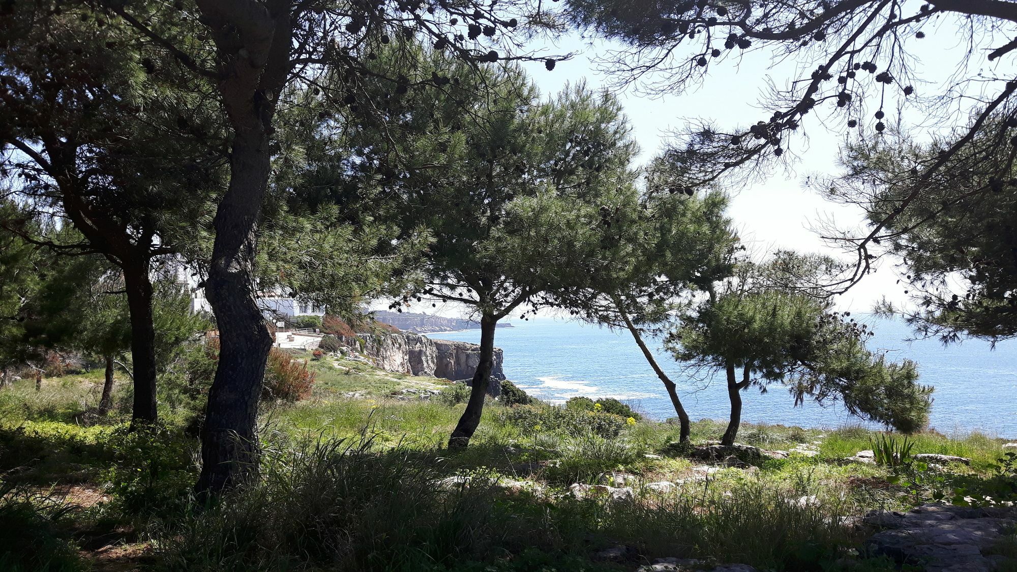 Charming Golf & Beach Villa *
