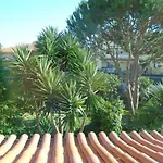 Apartamentos Em Moradia Com Jardim