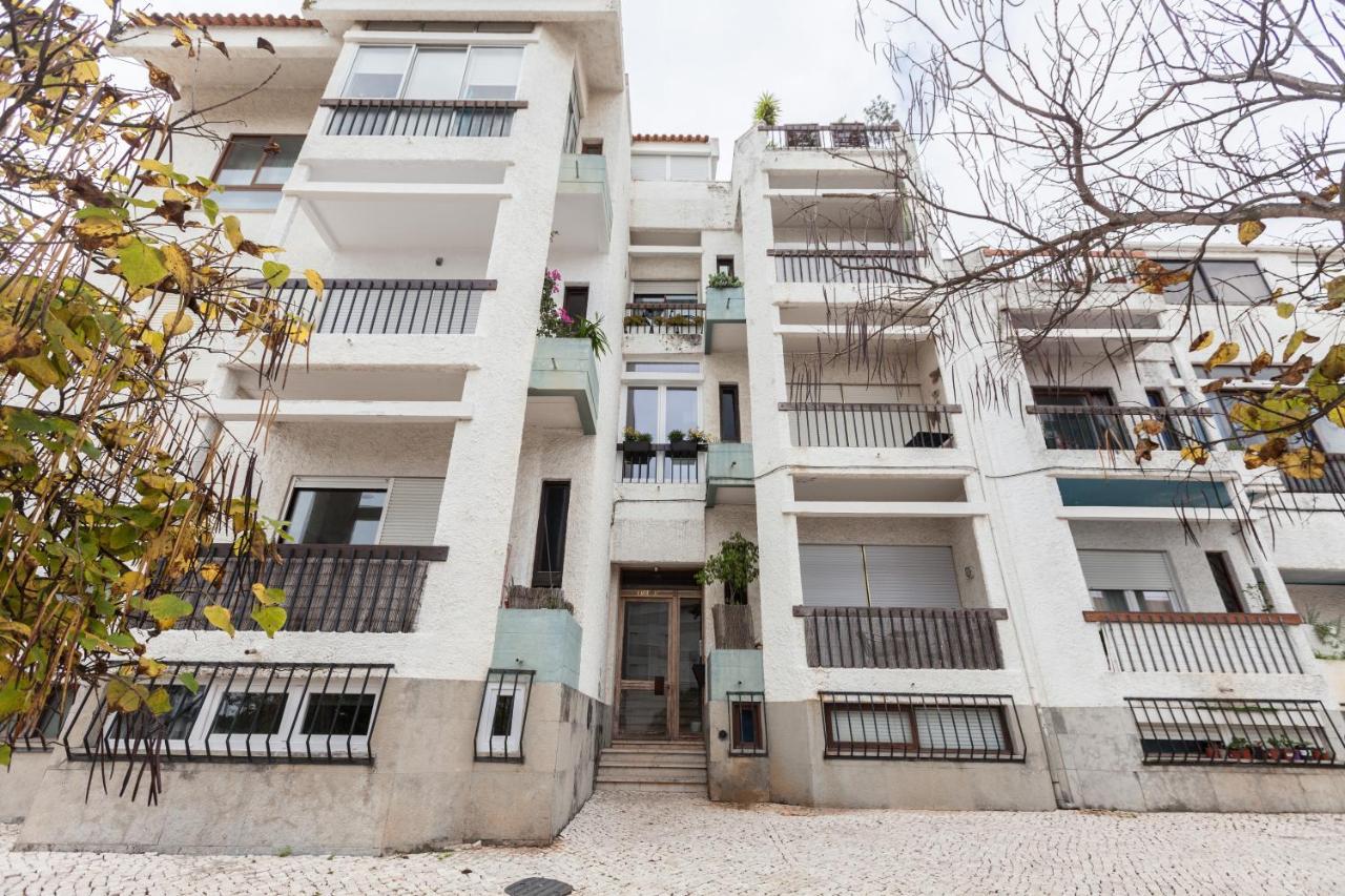 Apartment Flh Homey With Balcony *