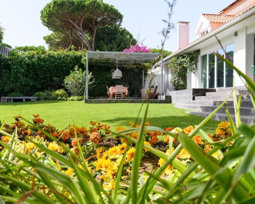 Monza Cascais
