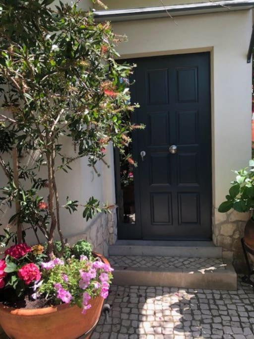 Villa Avilla. Luxo E Charme. *