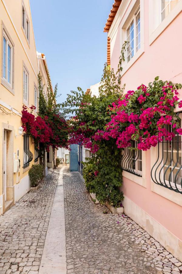 Prior23 In Old Town 4min From W/ Terrace Apartment