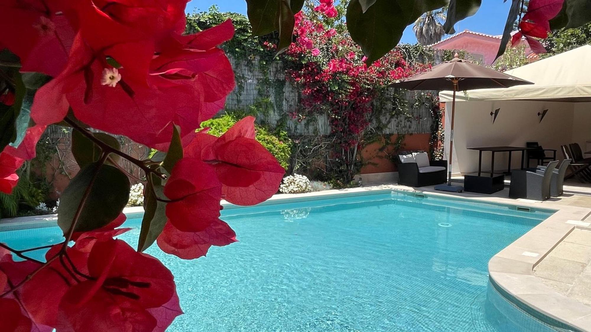 With Private Swimming Pool And Garden *