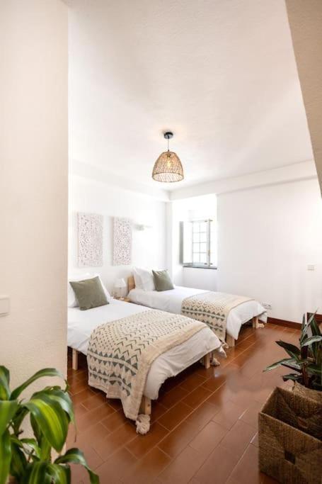 Casa Maria Amalia Holiday home *