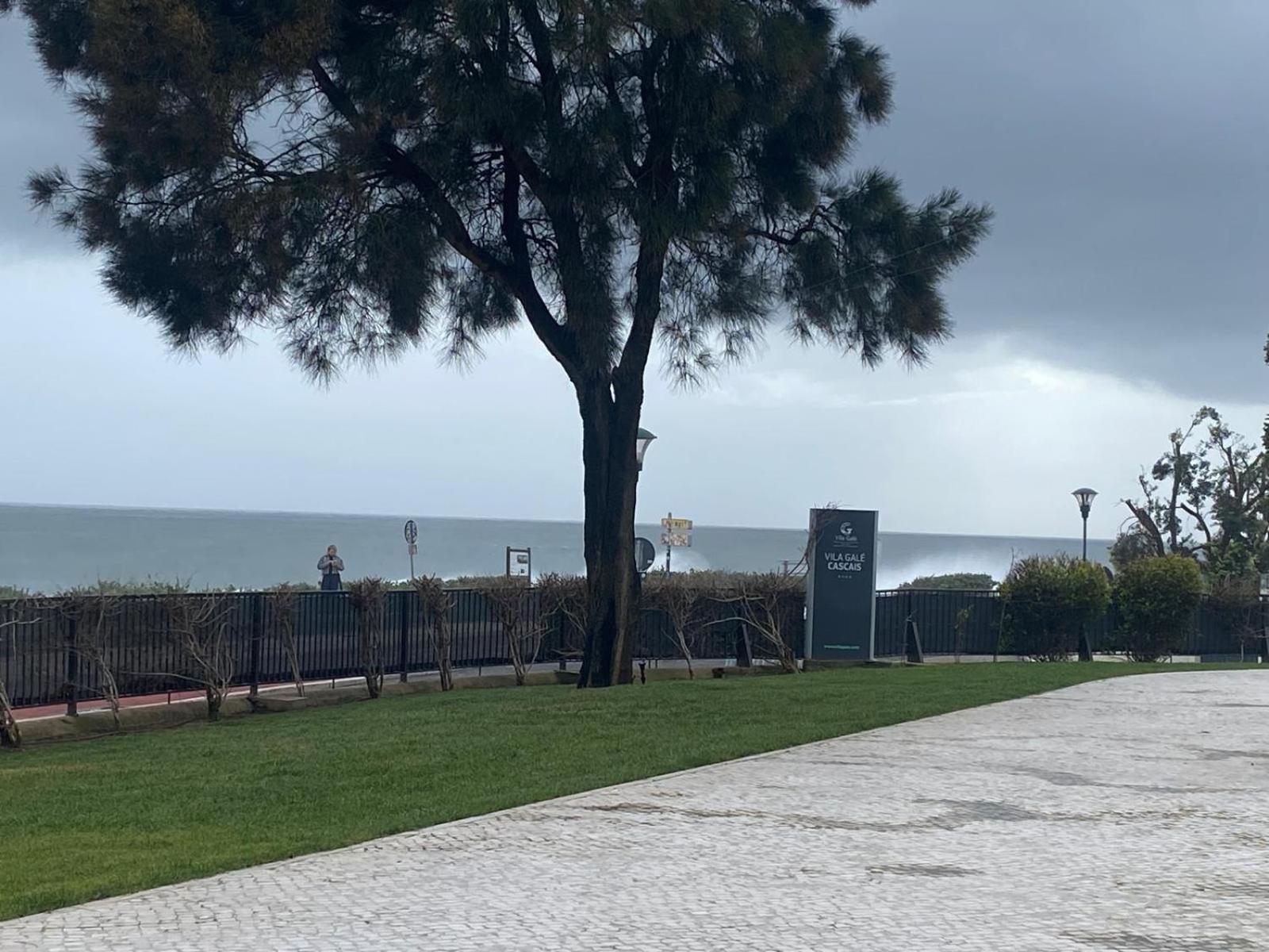 Gale T1 248 Apartment Cascais