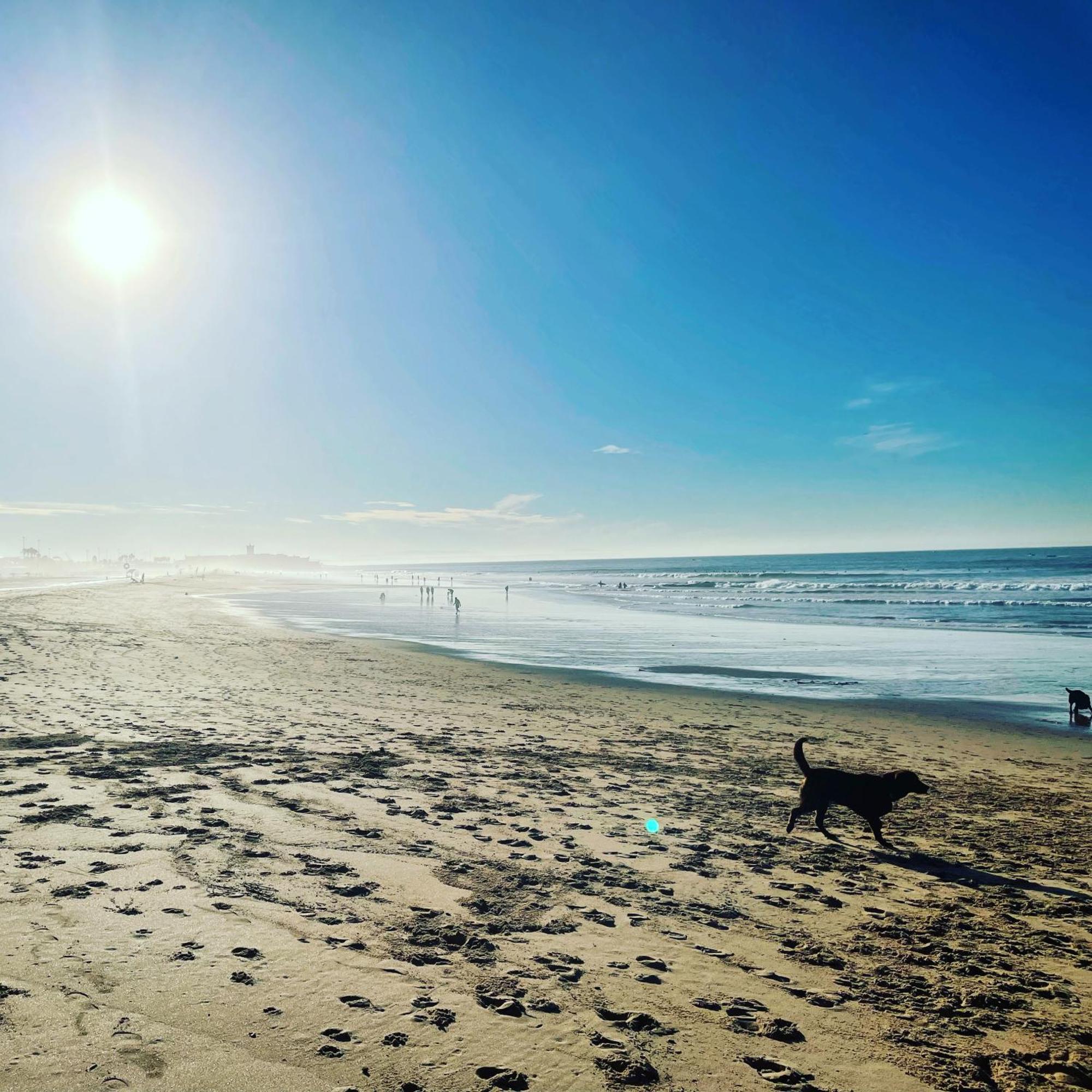 New 3 Bedroom Beachfront Apartment Apartment *