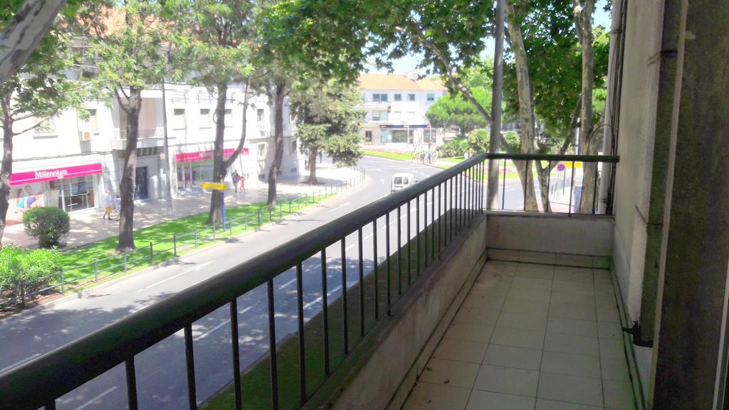 Palm Guest house 3*