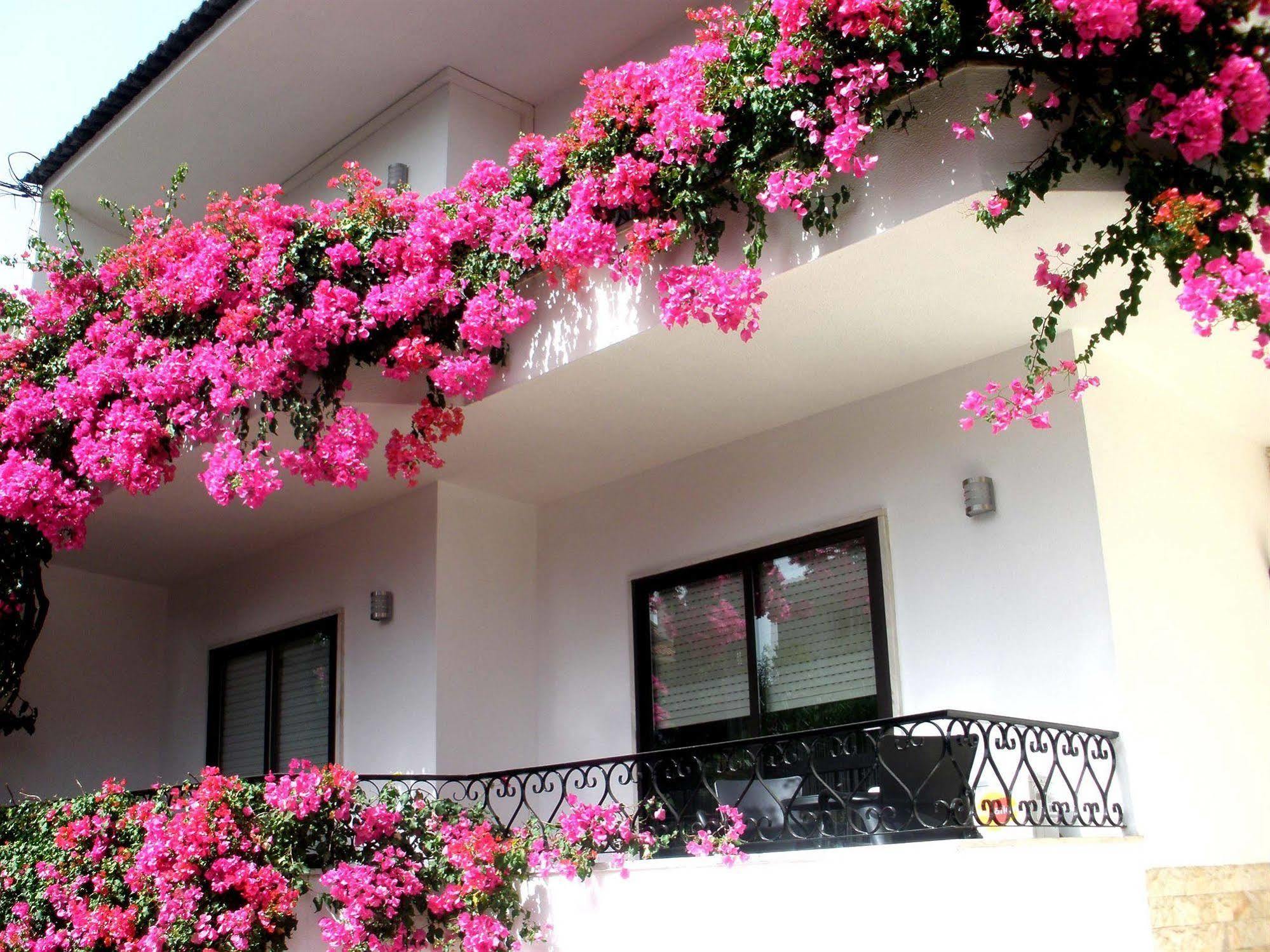 Dolce 3* Cascais