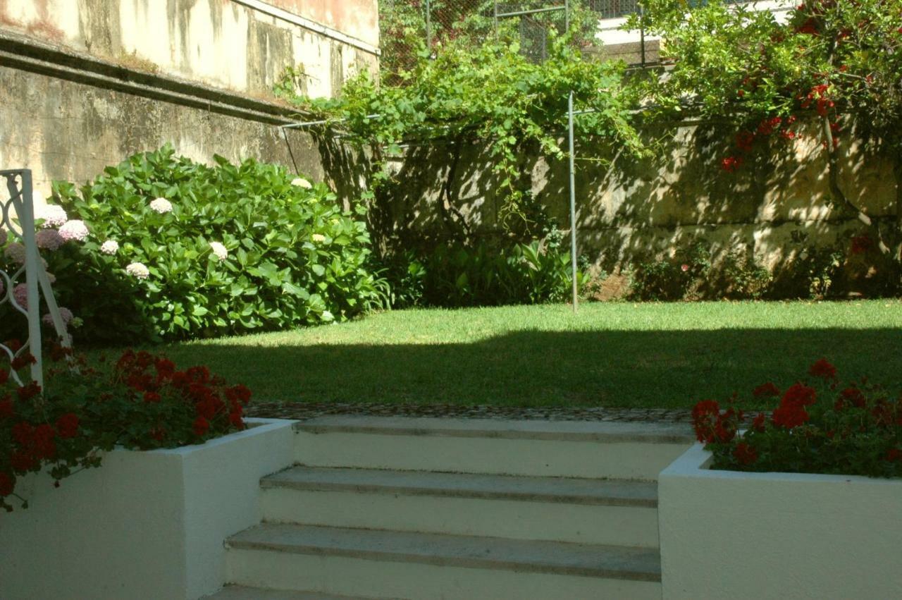 Hortensia Cascais