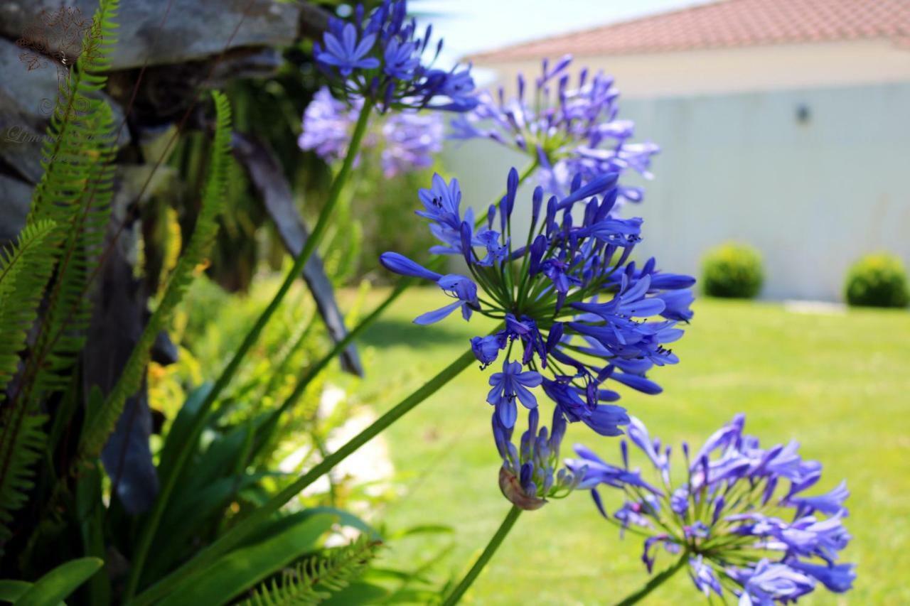 Limmo Garden Casa de hóspedes Cascais