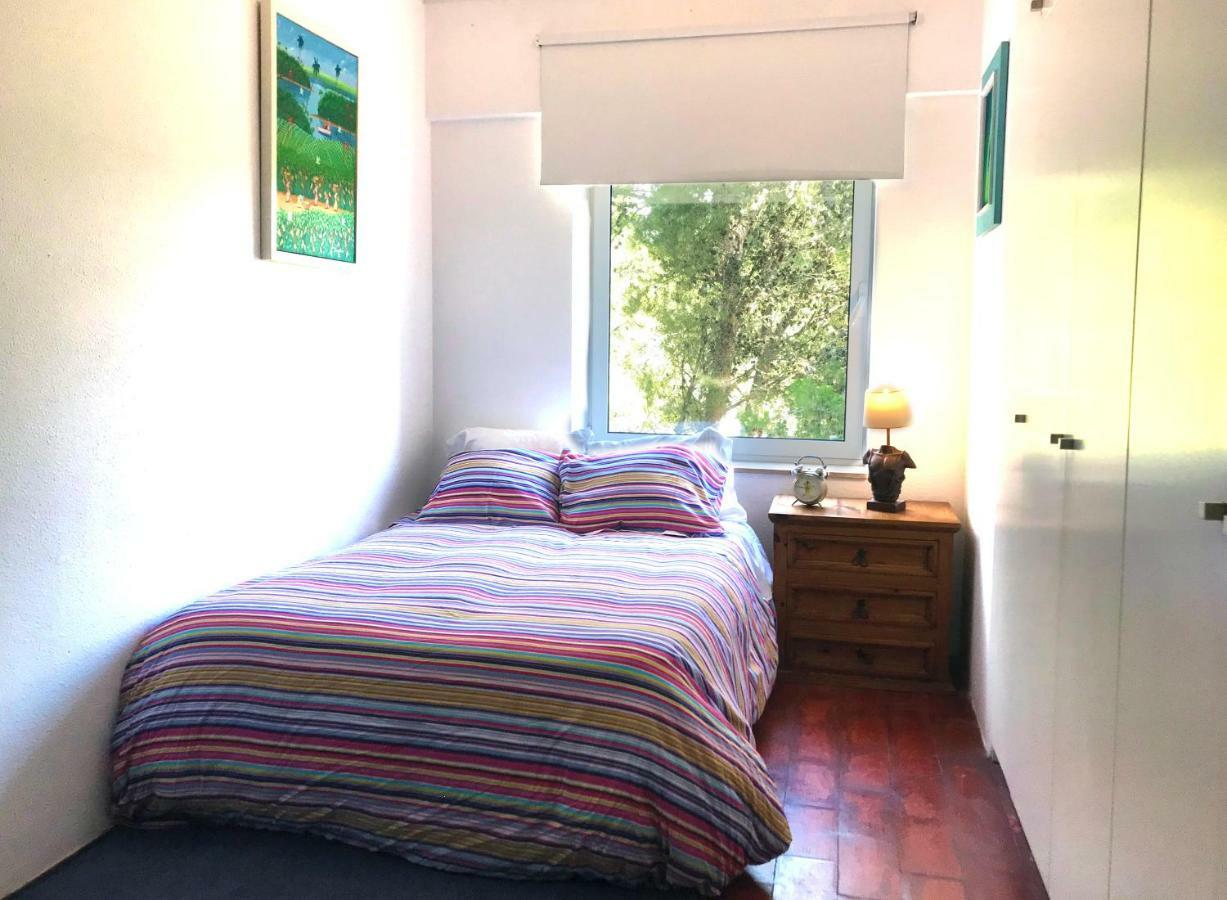 Dream Iv Apartment