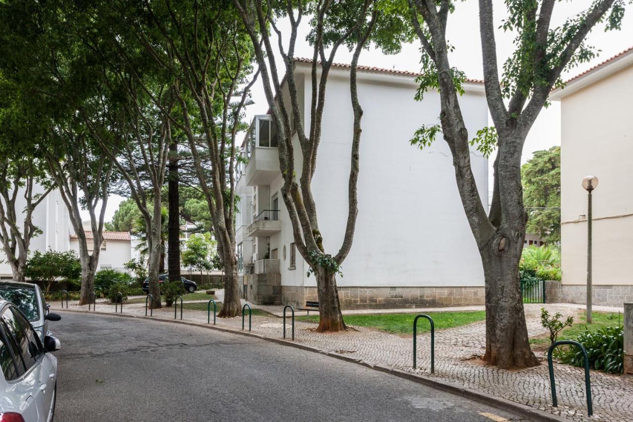 Flh With Terrace Apartment Cascais