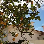 Limmo Garden - Alto Do Estoril