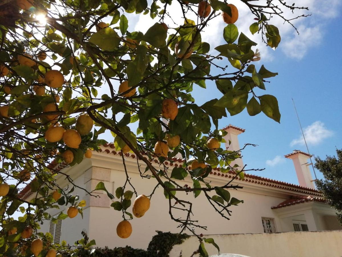 Limmo Garden - Alto Do Estoril