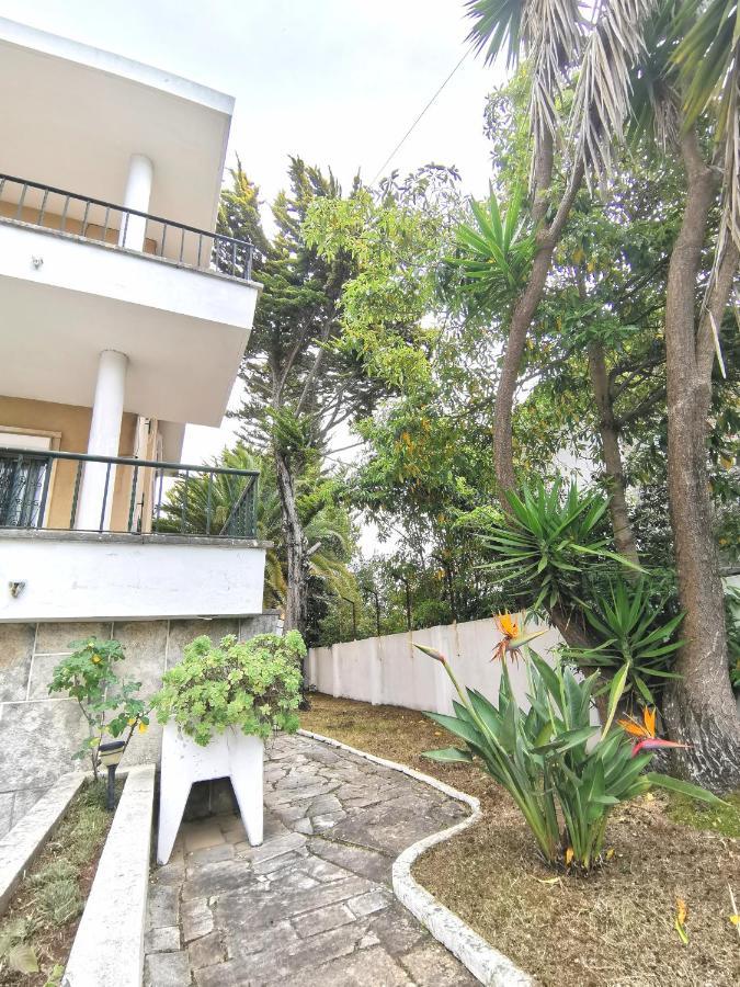 Botanique Casa de hóspedes