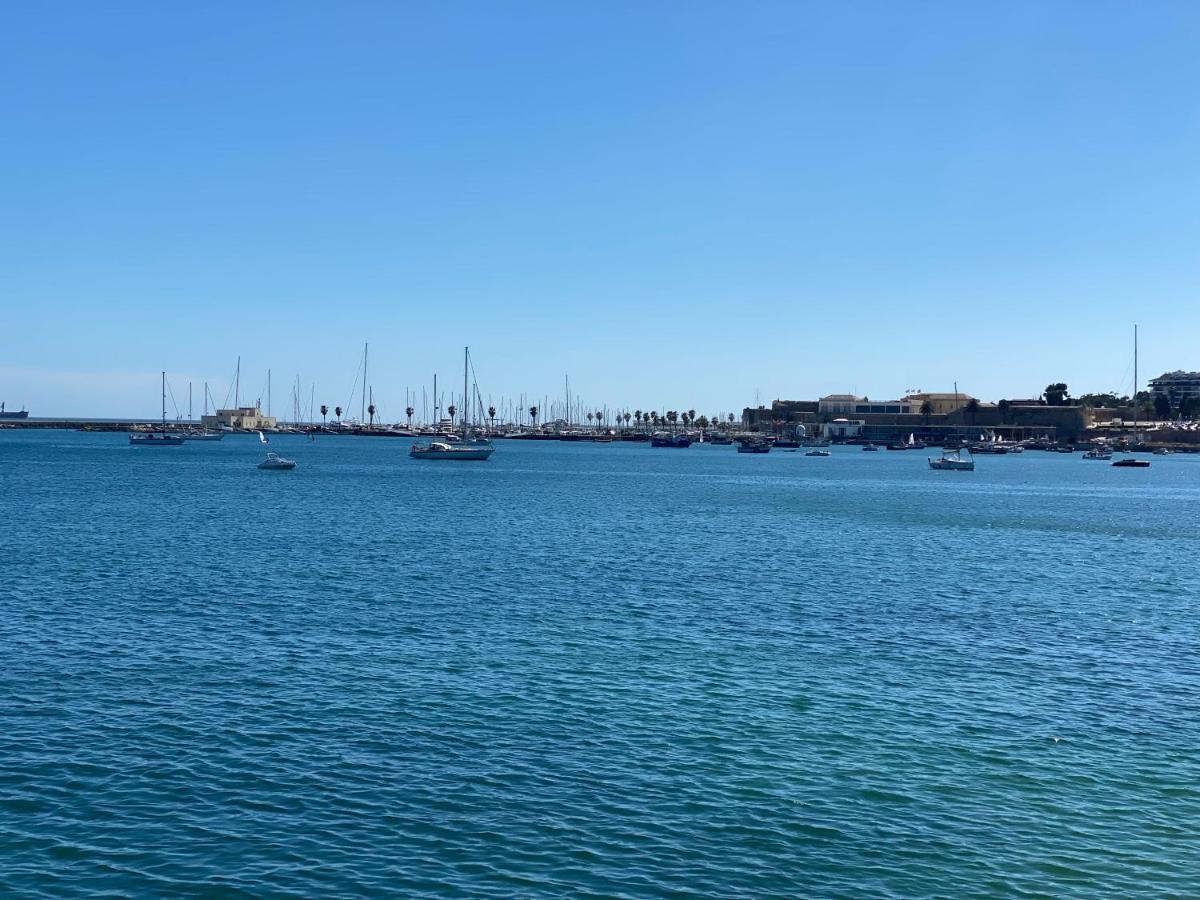 Gandarinha Junto Ao Mar
