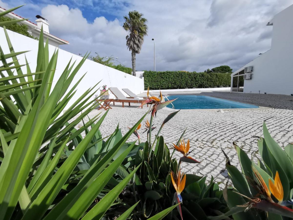 Vogue 23 Boutique In Casa de hóspedes